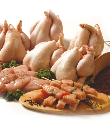 Frozen Chicken